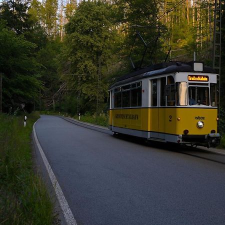 Gasthof Ungerberg ノイシュタット・イン・ザクセン エクステリア 写真