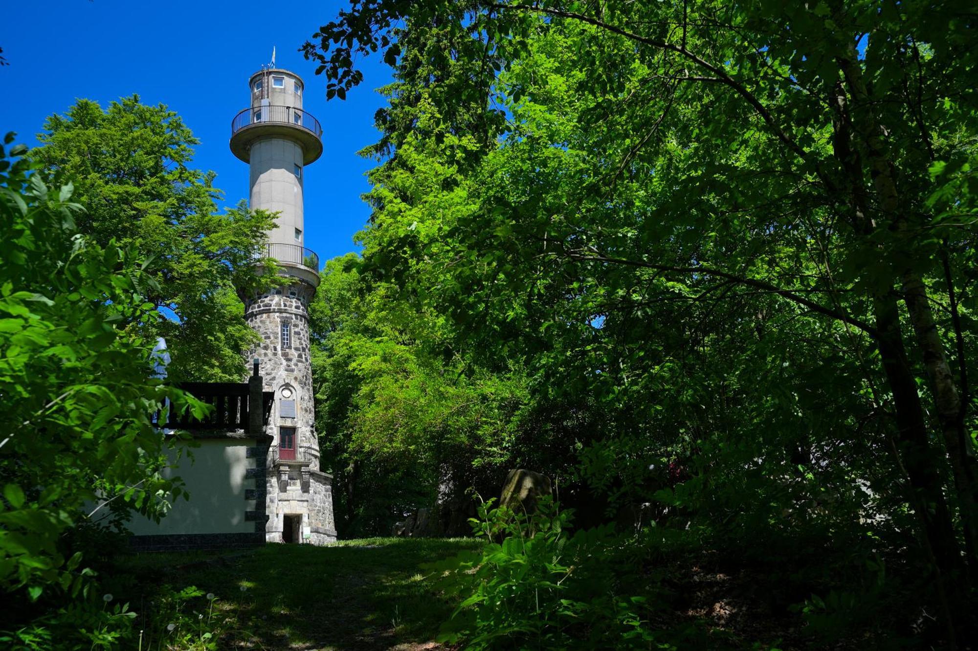 Gasthof Ungerberg ノイシュタット・イン・ザクセン エクステリア 写真